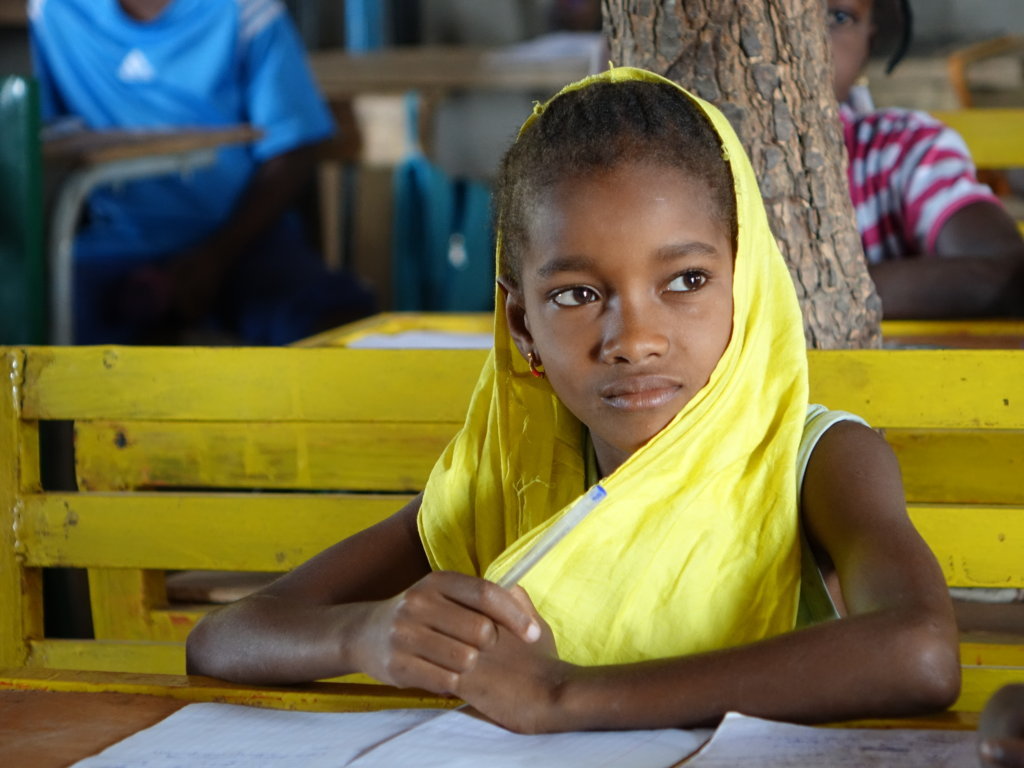 Istruzione e opportunità educative